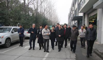 十年腾博汇游戏官网伴我行 又添春雨沐春风 ——记天津津南区党政代表团莅临合肥腾博汇游戏官网考察指导